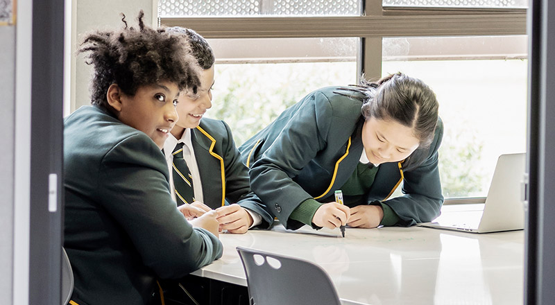 Students working in the St Patrick's Marist College Dundas library