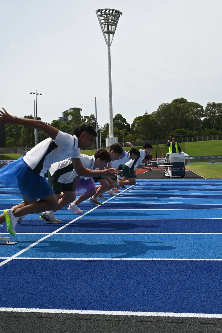 702264438307801_1524045242796379-1