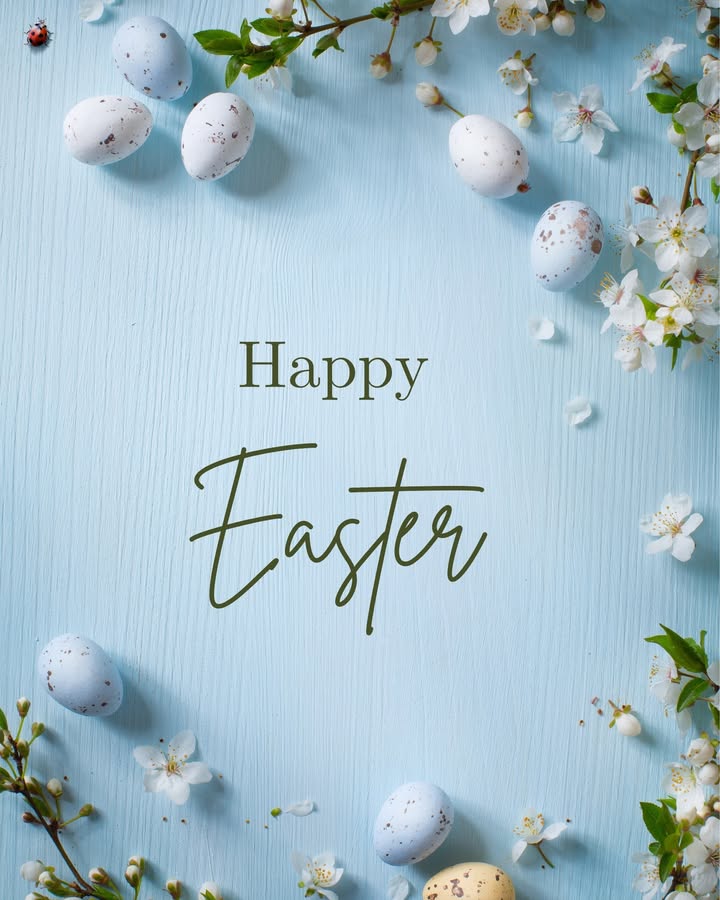 702264438307801_1541178854416351-1